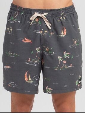 Quiksilver Boys Island Breeze Volley Board Short Swim Trunks Charcoal Summer EUC